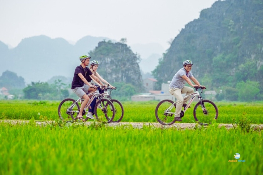 Travelers cycling through scenic rice fields in Ninh Binh countryside – Auasia Travel